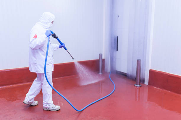 Best Dumpster Area Cleaning  in Upper Pohatcong, NJ